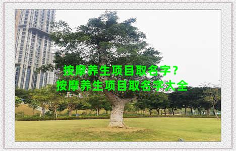 按摩养生项目取名字？按摩养生项目取名字大全